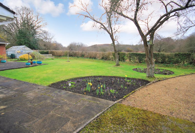 Garden with views over the New Forest